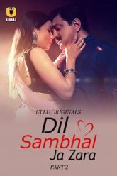 Dil Sambhal Ja Zara – Part 2 (2024)